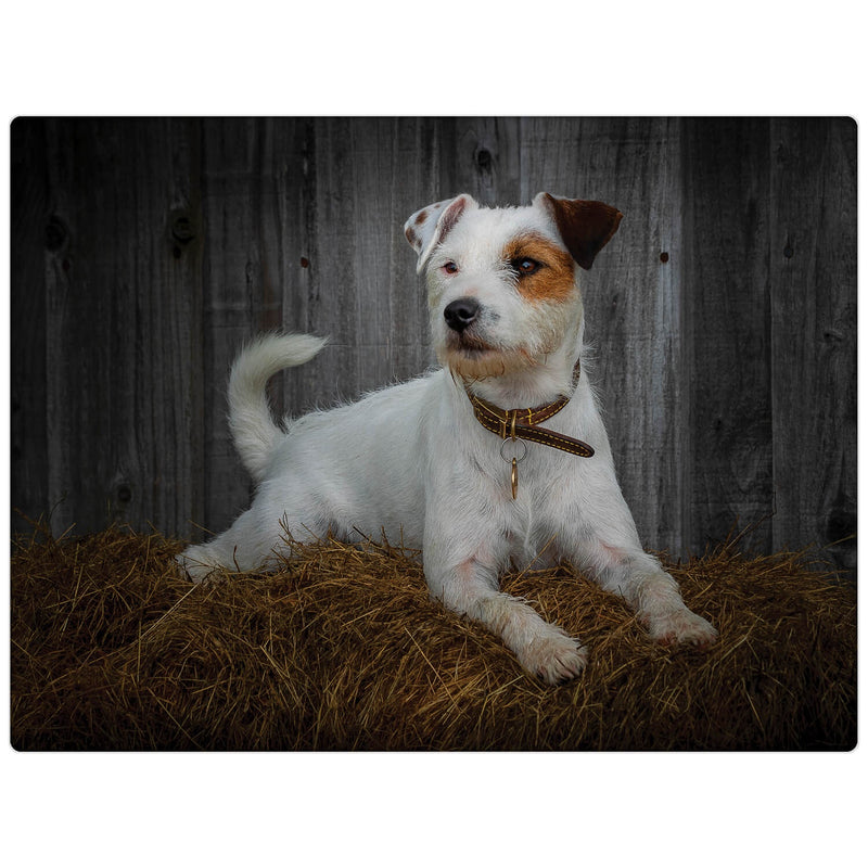 iStyle Rural Roots Rectangular Glass Worktop Saver - Jack Russell