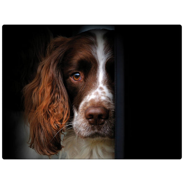 iStyle Rural Roots Rectangular Glass Worktop Saver - Springer Spaniel