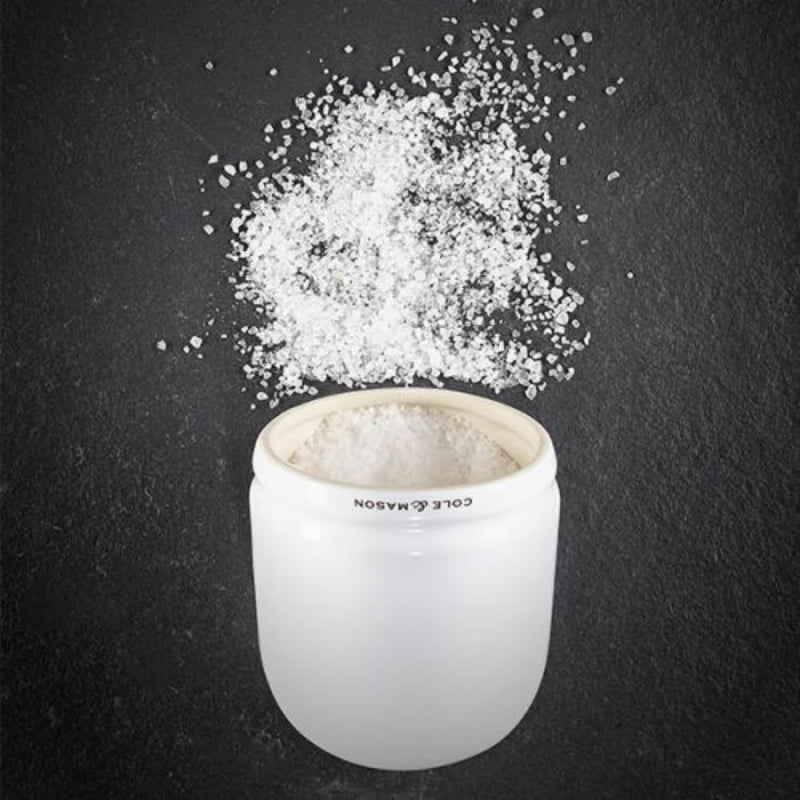 Cole & Mason Whitmore Ceramic Salt Pig - White