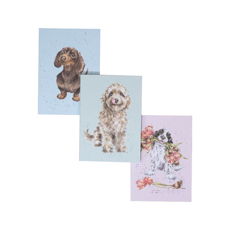 Wrendale Designs by Hannah Dale Set of 3 Notebooks - A Dogs Life