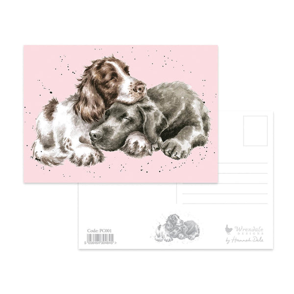 Wrendale Designs by Hannah Dale Postcard - Growing Old Together