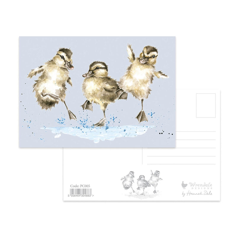 Wrendale Designs by Hannah Dale Postcard - Puddle Ducks