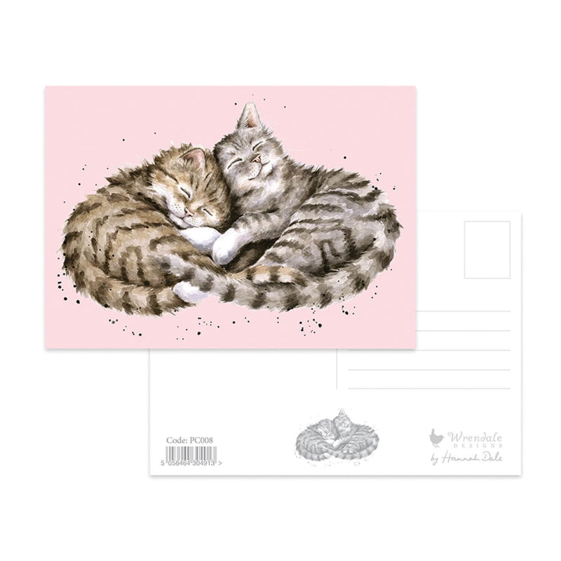 Wrendale Designs by Hannah Dale Postcard - Sweet Dreams