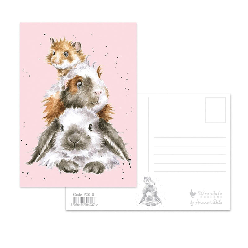 Wrendale Designs by Hannah Dale Postcard - Piggy In The Middle