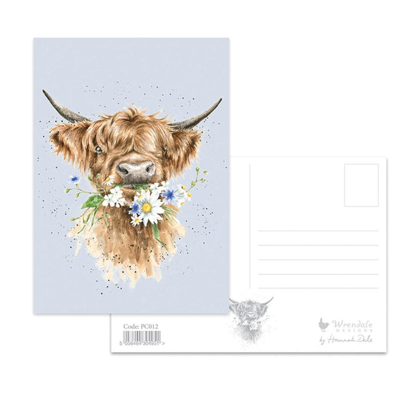 Wrendale Designs by Hannah Dale Postcard - Daisy Coo