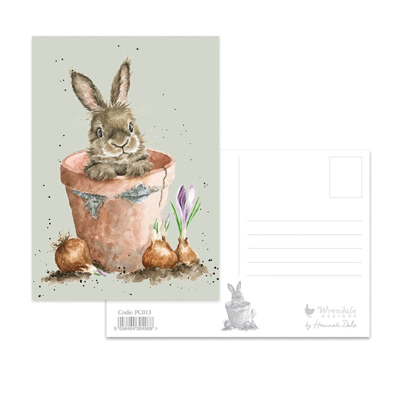 Wrendale Designs by Hannah Dale Postcard - The Flower Pot