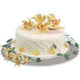 PME Round Cake Card - 15cm - Potters Cookshop