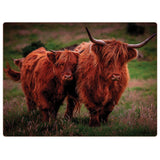 iStyle Rural Roots 4 Piece Rectangular Placemat Set - Highland Cows