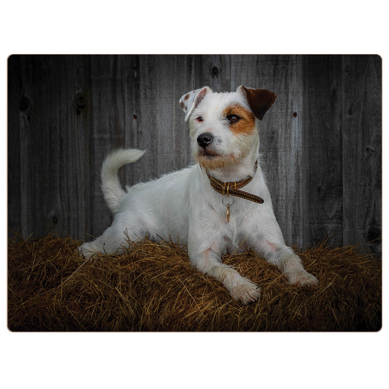 iStyle Rural Roots 4 Piece Rectangular Placemat Set - Jack Russel