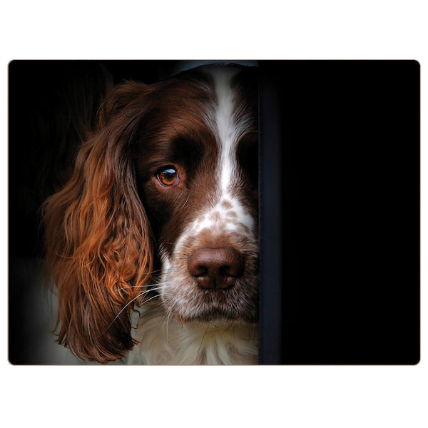 iStyle Rural Roots 4 Piece Rectangular Placemat Set - Springer Spaniel