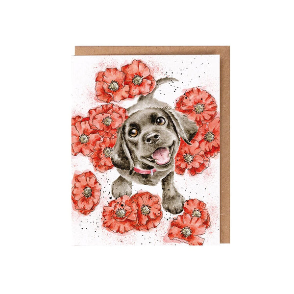 Wrendale Designs by Hannah Dale Seed Card - Poppy Love