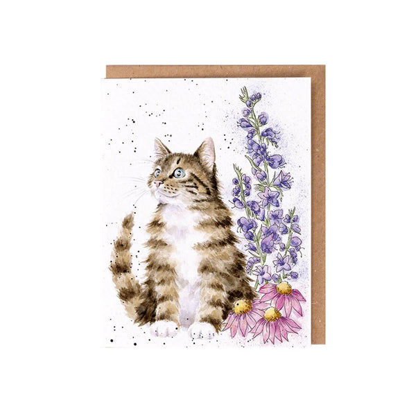 Wrendale Designs by Hannah Dale Seed Card - Whiskers & Wild Flowers