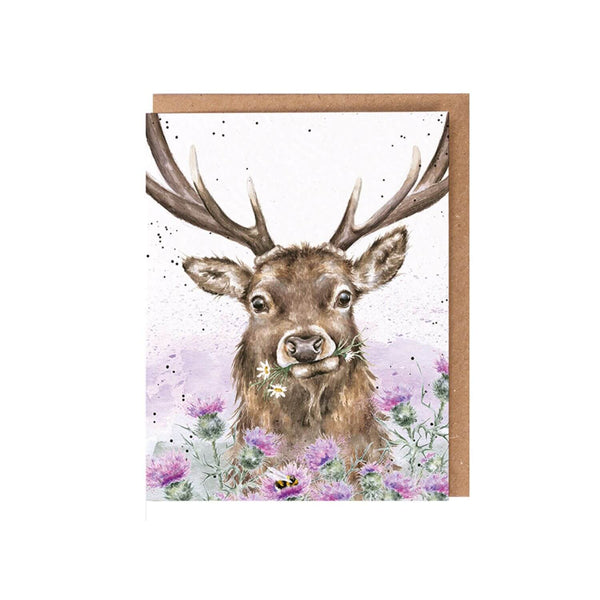Wrendale Designs by Hannah Dale Seed Card - Thistle Make You Smile