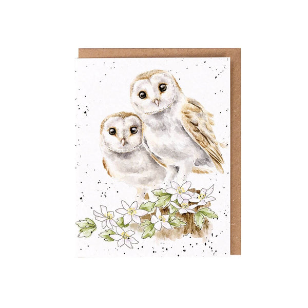 Wrendale Designs by Hannah Dale Seed Card - Hooting For You