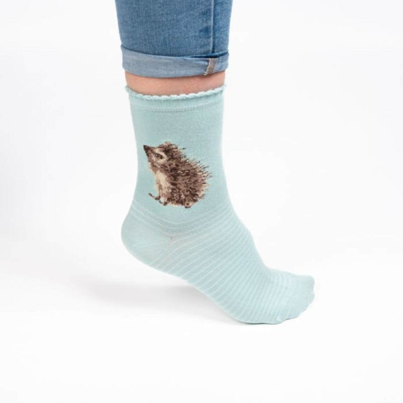 Wrendale Designs Blue Socks - Hedgehugs