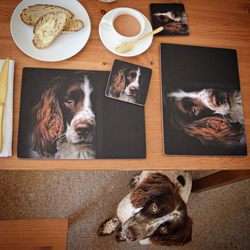 iStyle Rural Roots 4 Piece Square Coaster Set - Springer Spaniel