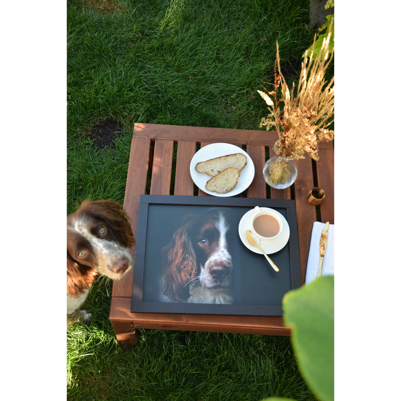 iStyle Rural Roots Faux Leather Cushioned Rectangular Lap Tray - Springer Spaniel