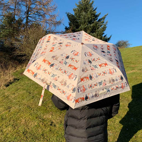 Alex Clark Umbrella - Marvellous Moggies