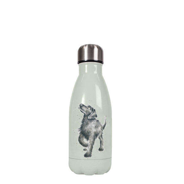 Wrendale Designs by Hannah Dale 260ml Water Bottle - Dog
