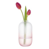 Dartington Wellness Replenish Small Vase - Pink - Potters Cookshop