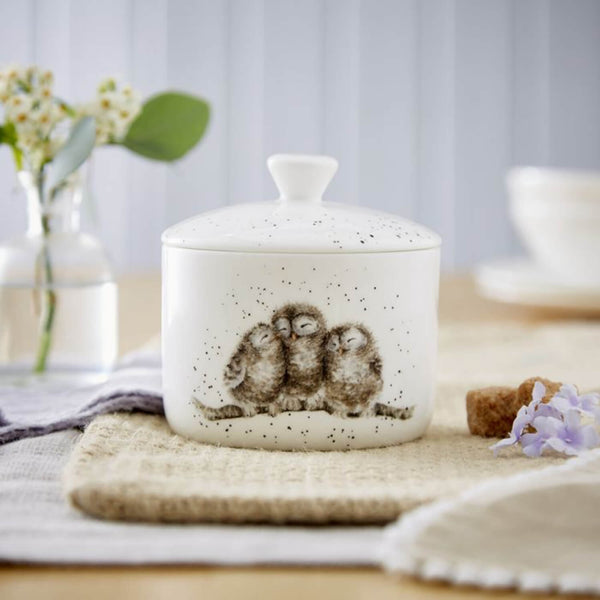 Royal Worcester Wrendale Bone China Small Lidded Storage Jar - Owlets