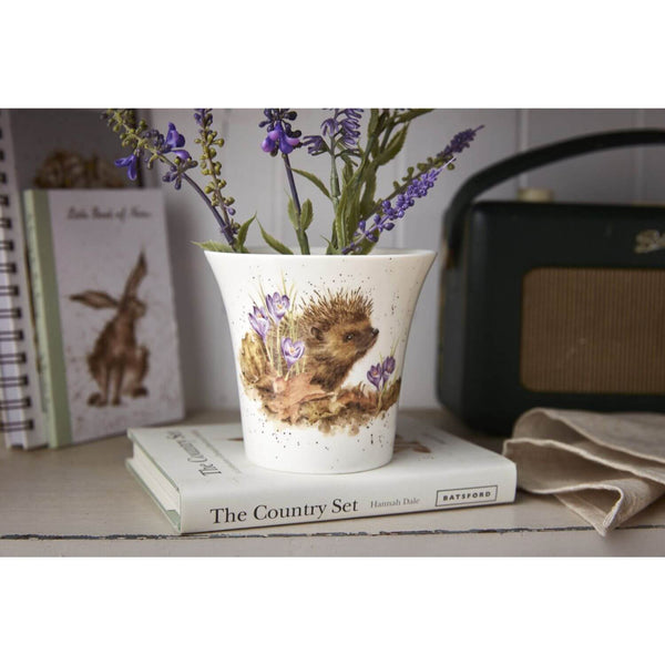 Royal Worcester Wrendale Flower & Herb Pot - Hedgehog