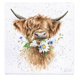 Wrendale Designs Small Canvas - Daisy Coo