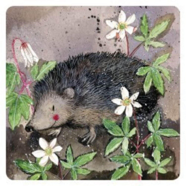 Alex Clark Coaster - Mr Prickly - Potters Cookshop